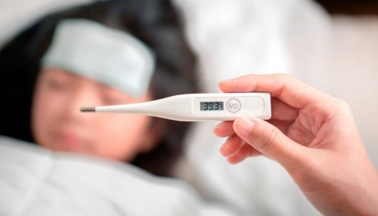 Si los síntomas persisten después de dos semanas, debe considerarse la posibilidad de meningitis y encefalitis./ Fotos: Cortesía / La Opinión