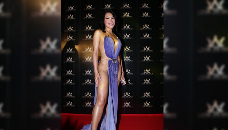 Ana del Castillo encendió las redes con su vestido