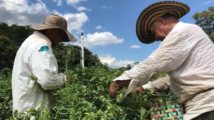 Campesinos de la provincia de Ocaña podrán acceder a créditos para reactivar el sector agropecuario