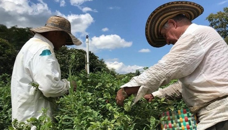 Campesinos de la provincia de Ocaña podrán acceder a créditos para reactivar el sector agropecuario