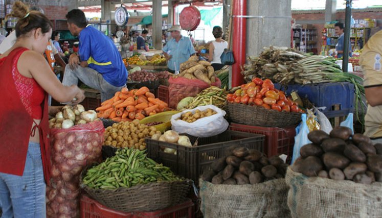 Economistas estiman que los precios de los alimentos continuarán en alza, lo que hará que sea más lenta la reducción de la inflación anual./ Foto Archivo