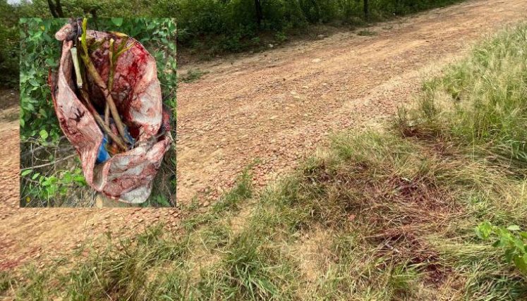 Con un machete agredieron a un hombre en zona rural de San Cayetano