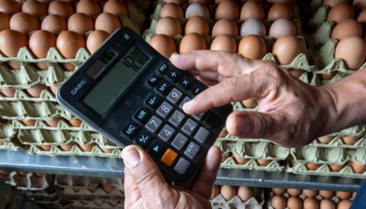 Colombia, uno de los mayores consumidores de huevo