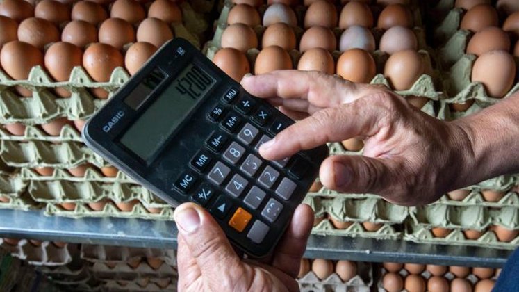 Colombia, uno de los mayores consumidores de huevo