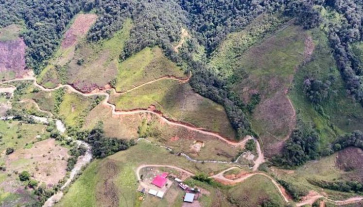 En el corregimiento de Santa Clara, Municipio de Argelia, vivían de sus proyectos productivos 42 familias de desmovilizados