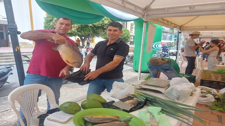 Con el firme propósito de fortalecer los ciclos cortos de comercialización se desarrolló el mercado campesino agroindustrial en Ocaña./ Foto: Cortesía