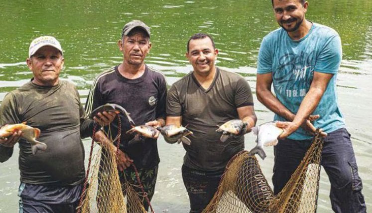 Asopistar, de El Tarra, ganó Emprender Paz en 2020./ Foto Cortesía