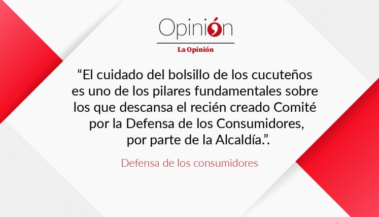 El cuidado del bolsillo de los cucuteños es uno de los pilares fundamentales sobre los que descansa el recién creado Comité por la Defensa de los Consumidores, por parte de la Alcaldía.