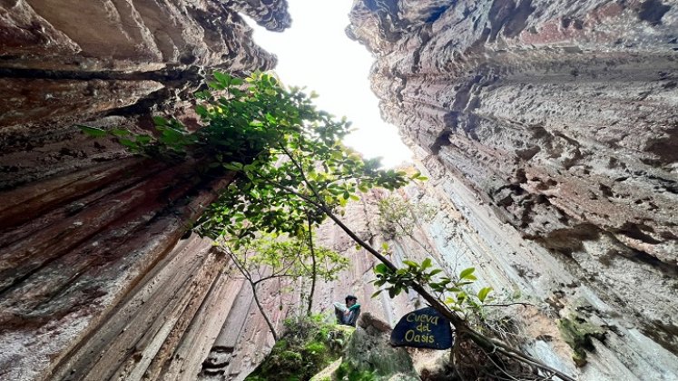 Los promotores turísticos confían en los buenos oficios de la nueva funcionaria para la protección de los recursos naturales y la promoción de los sitios turísticos. / Foto: Cortesía