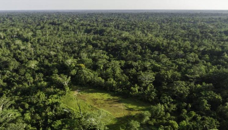 El logro supera la meta del Plan Nacional de Desarrollo, que proyectaba una disminución anual del 20 % en comparación con los niveles de deforestación de 2021. Sin embargo, se redujo en un 54 %.