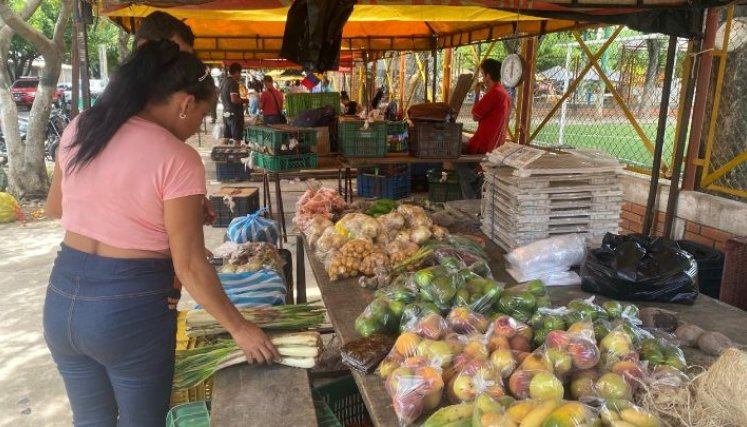 Los mercados satélites se realizan cada martes. 
