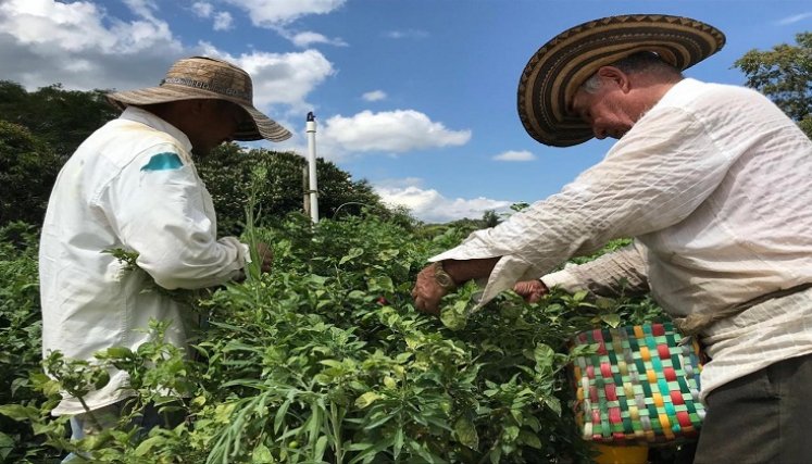 Prosperidad Social anuncia la construcción de 4 Puntos de Abastecimiento Solidario en la zona del Catatumbo./ Foto: Cortesía