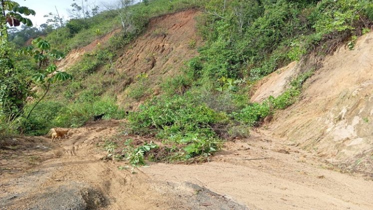 Las fuertes lluvias ocasionan desastres en zona rural de Hacarí./Foto cortesía.