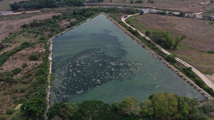 Corponor coordina con el Gobierno seccional el mantenimiento de la laguna de oxidación en el municipio de Ábrego./ Foto: Cortesía