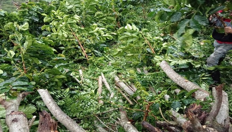 El sector sur de la zona rural del municipio El Carmen resultó afectado con las fuertes lluvias./ Foto cortesía: La Opinión.