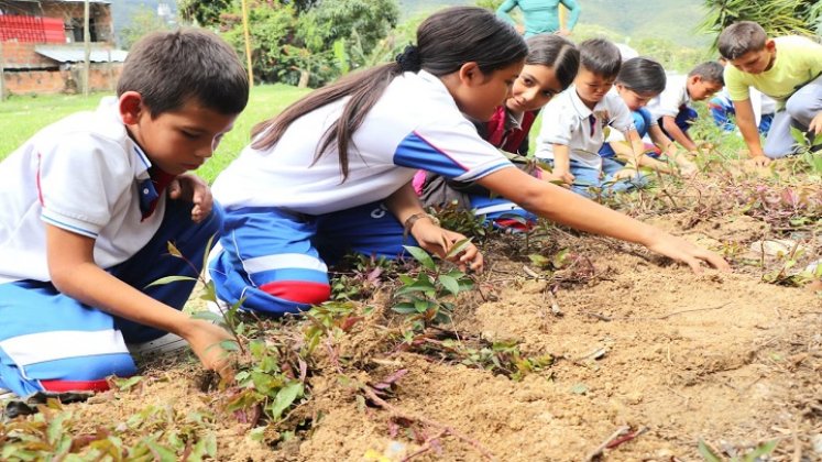 En Ocaña se dictan charlas a los niños sobre el cuidado del medio ambiente./ Foto cortesía: La Opinión. 