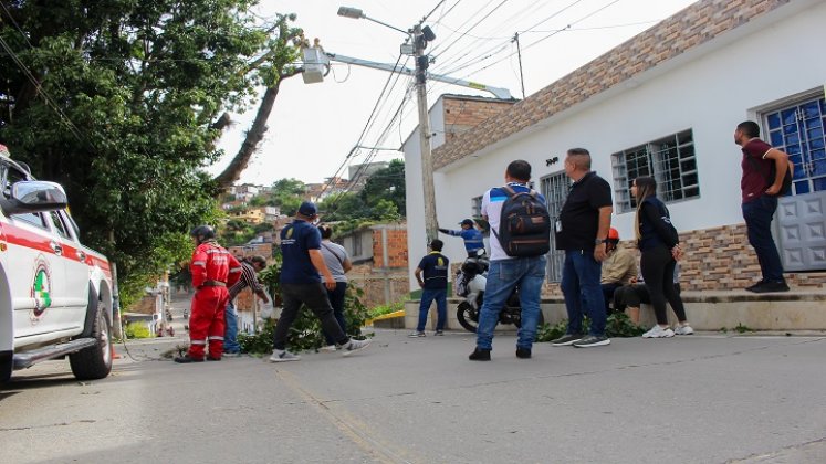 Hicieron poda preventiva de las ramas de un árbol centenario en el barrio El Retiro de Ocaña./ Foto cortesía: La Opinión.