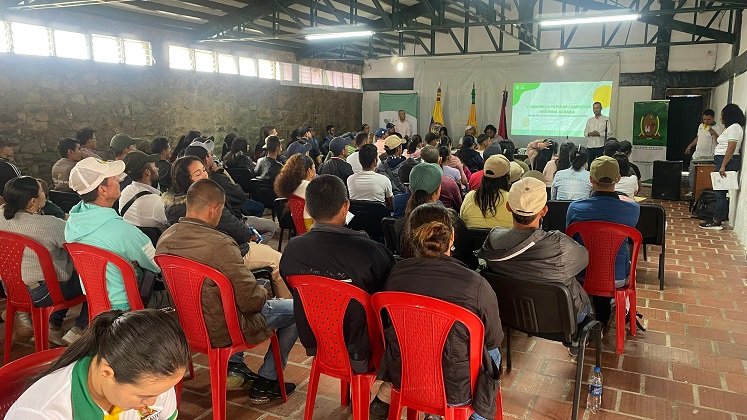 En la zona del Catatumbo avanza la implementación de la Reforma agraria integral./ Foto cortesía: La Opinión.