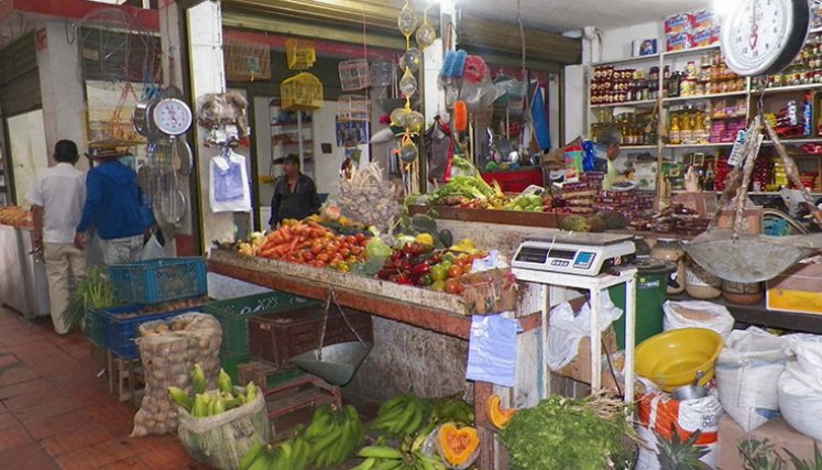 La papa y la cebolla fueron los alimentos que más aportaron a la inflación de Cúcuta, en julio./ Foto Archivo