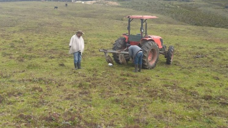 En los páramos Santurbán y Almorzadero se producen actividades agrícolas/Foto Archivo