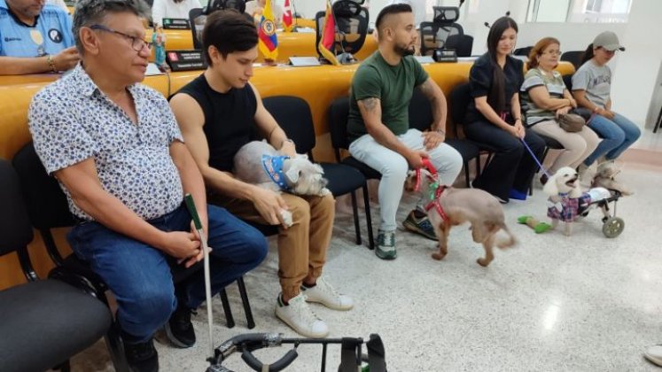 Mascotas discapacitadas tendrán trato especial./Foto cortesía