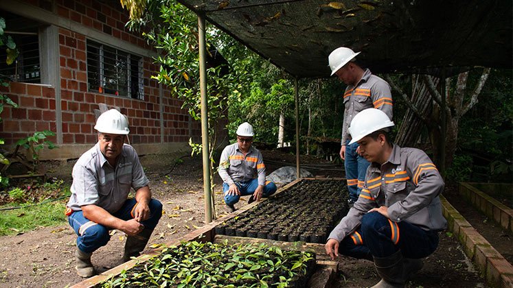 La minería bien hecha se caracteriza por el trabajo voluntario que busca cuidar los recursos naturales. En ese sector es el que tiene más trabajadores felices. / Foto: Archivo