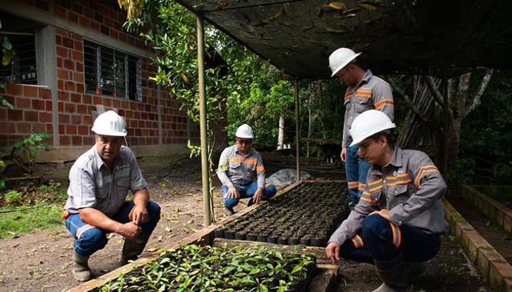 La minería bien hecha se caracteriza por el trabajo voluntario que busca cuidar los recursos naturales. En ese sector es el que tiene más trabajadores felices. / Foto: Archivo
