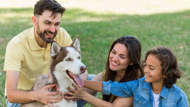 Los animales de compañía tienen un vínculo especial con los seres humanos,  debido a esa condición analizan si tienen derecho a formar parte de la familia. 