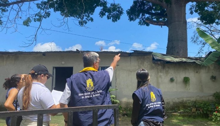 Una comisión de la secretaría de Medio Ambiente adelanta una inspección ocular a los árboles de Ocaña. / Foto cortesía: La Opinión.