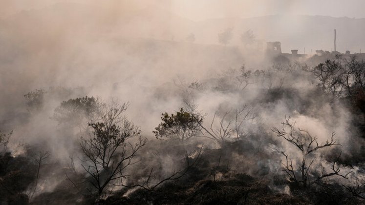 Incendios en el Tolima