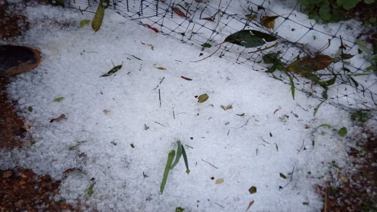 Invierno acompañado de vientos y granizos afecta cultivos en zona rural de La Playa de Belén./ Foto cortesía: la Opinión.