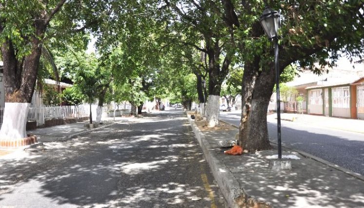 La avenida comprende los barrios de Quinta Oriental y Ceiba. / Foto: Archivo.