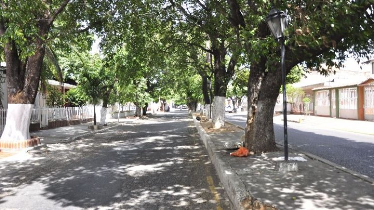 La avenida comprende los barrios de Quinta Oriental y Ceiba. / Foto: Archivo.