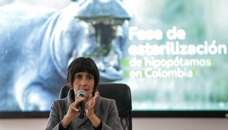 Susana Muhamad, Minambiente 