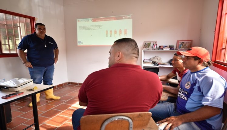 En la granja de la universidad Francisco de Paula Santander, seccional Ocaña se adelantan procesos productivos con porcinos./ Foto cortesía: La Opinión.