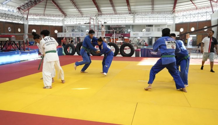 Los yudocas de Norte de Santander están listos para suramericano.