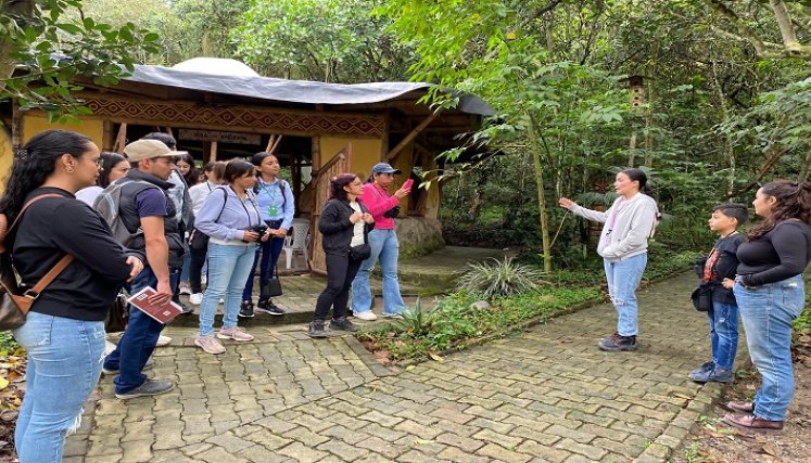 El avistamiento de aves se ha constituido en un potencial turístico para la provincia de Ocaña y zona del Catatumbo. / Foto cortesía: La Opinión.