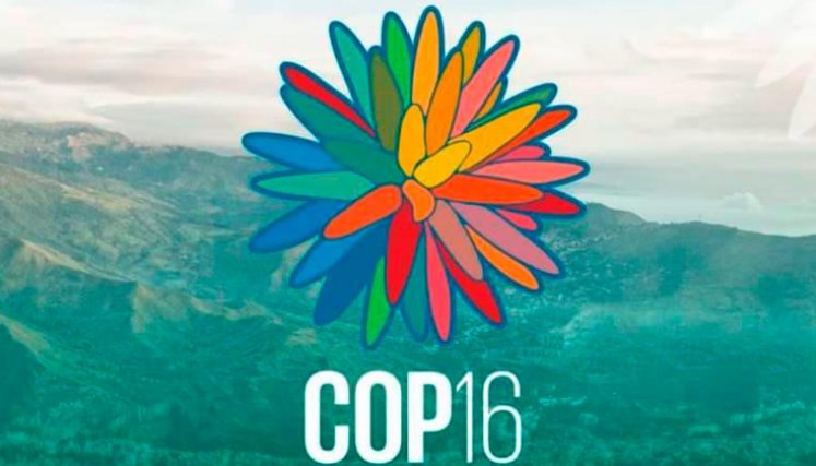 COP 16