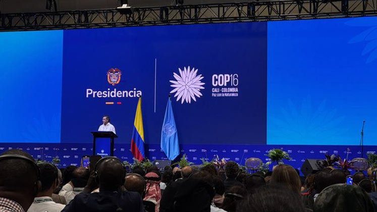 COP16 en Colombia 