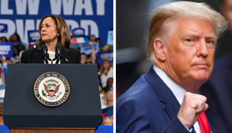 Kamala Harris y Donald Trump se disputan la Presidencia de los Estados Unidos. / Foto: Redes sociales