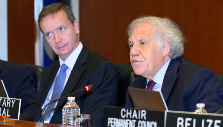 Luis Almagro, secretario general de la OEA. / Foto: Cortesía Efecto Cocuyo