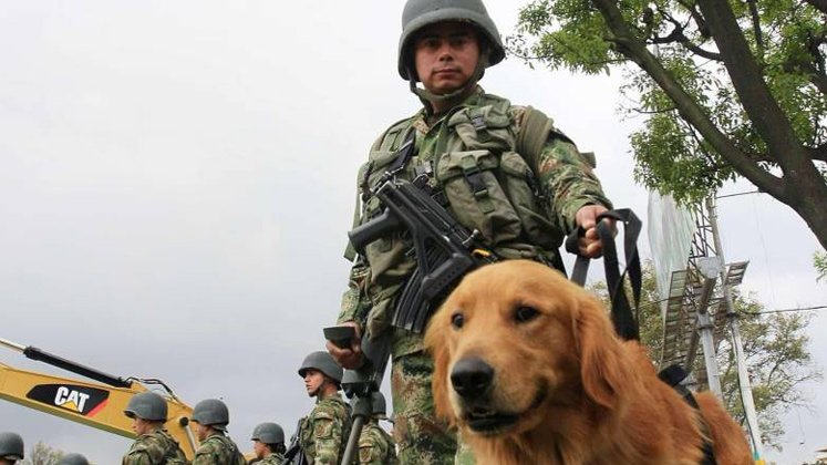 Perro antiexplosivos frustró atentado