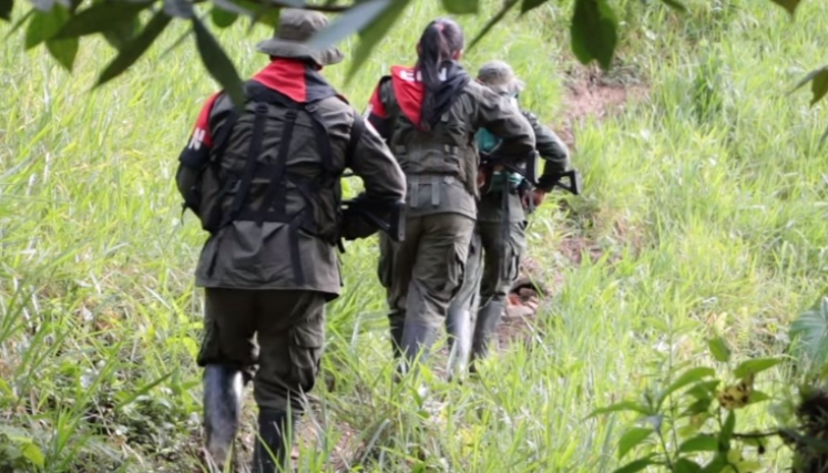 Tras las fallidas negociaciones con el Ejército de Liberación Nacional (Eln) en Norte de  Santander se ha presentado una creciente oleada de violencia y una disputa por territorio.