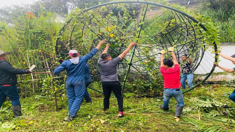 Funcionarios rescatan de la maleza material para iluminar a Ocaña durante la Navidad.