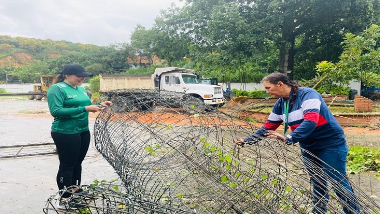 Funcionarios rescatan de la maleza material para iluminar a Ocaña durante la Navidad.