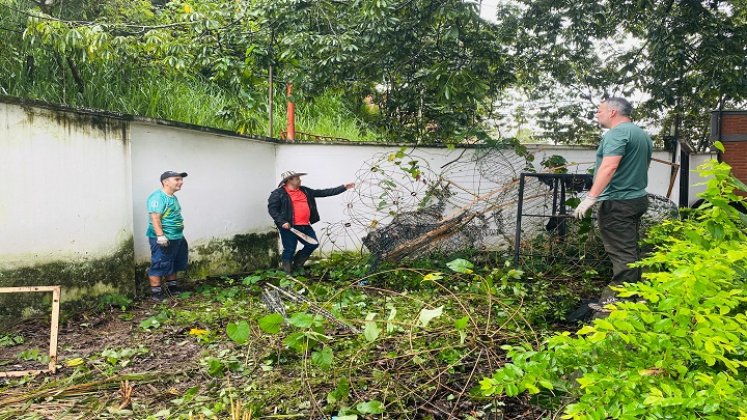 Funcionarios rescatan de la maleza material para iluminar a Ocaña durante la Navidad.   