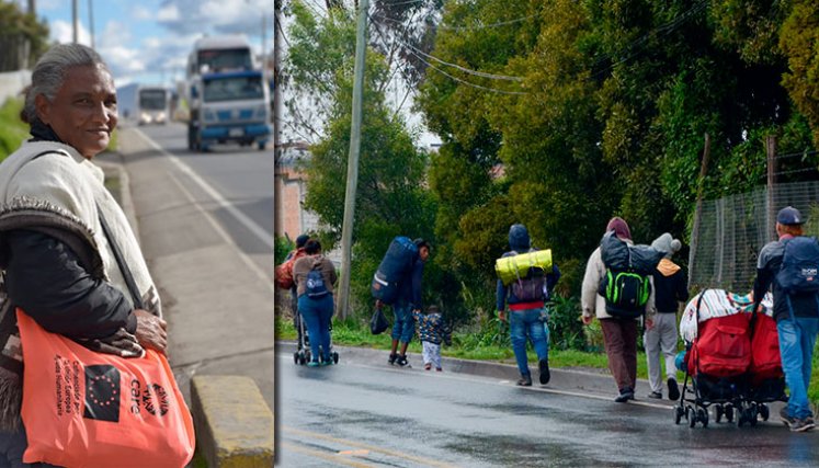 Migrantes venezolanos. / Foto: Cortesía