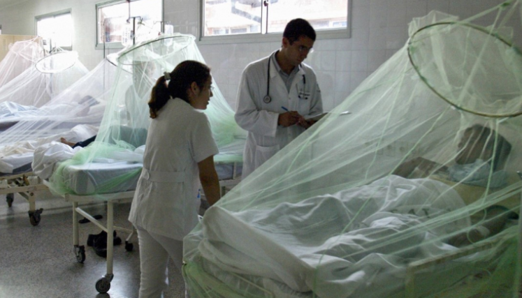 El contagio de dengue registra un repunte histórico en Colombia este año. 