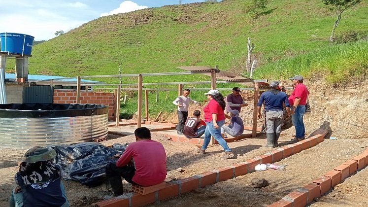 Firmantes de paz de Hacarí trabajan en la adecuación de una granja experimental para resarcir el tejido social.