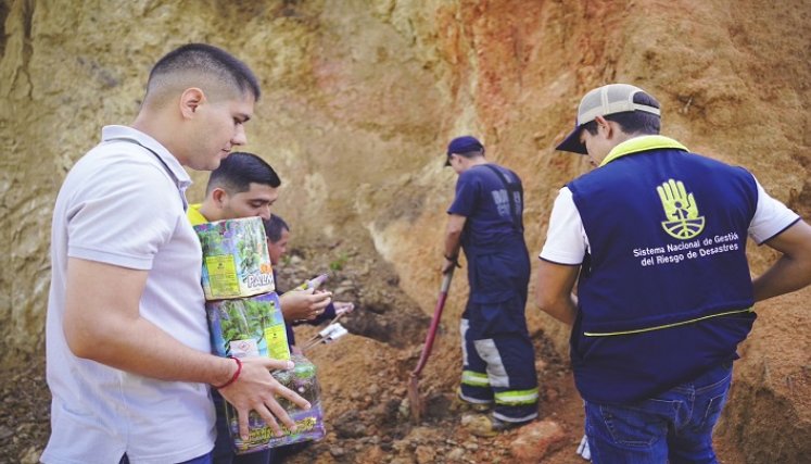Autoridades ambientales adelantan operativos para controlar el uso de elementos naturales en la Navidad.